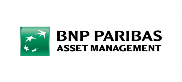 Bnp Paribas Logo: Over 6 Royalty-Free Licensable Stock Illustrations &  Drawings | Shutterstock